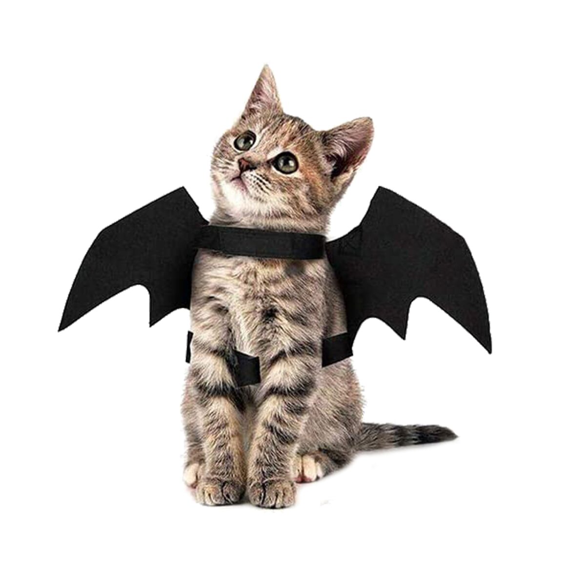 Disfraz Murciélago Mascotas