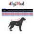 PS01_Disfraces Mascotas