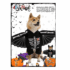 360_Esqueleto Alas perro y gato2