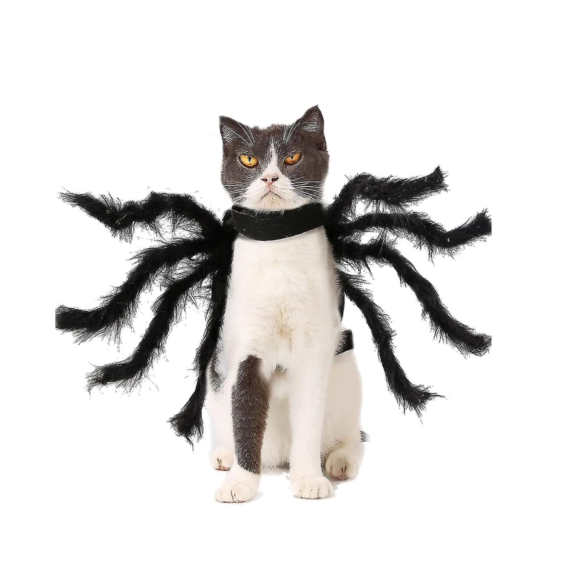 Disfraz Araña Mascotas