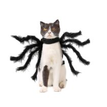 361_Disfraz Araña perro y gato