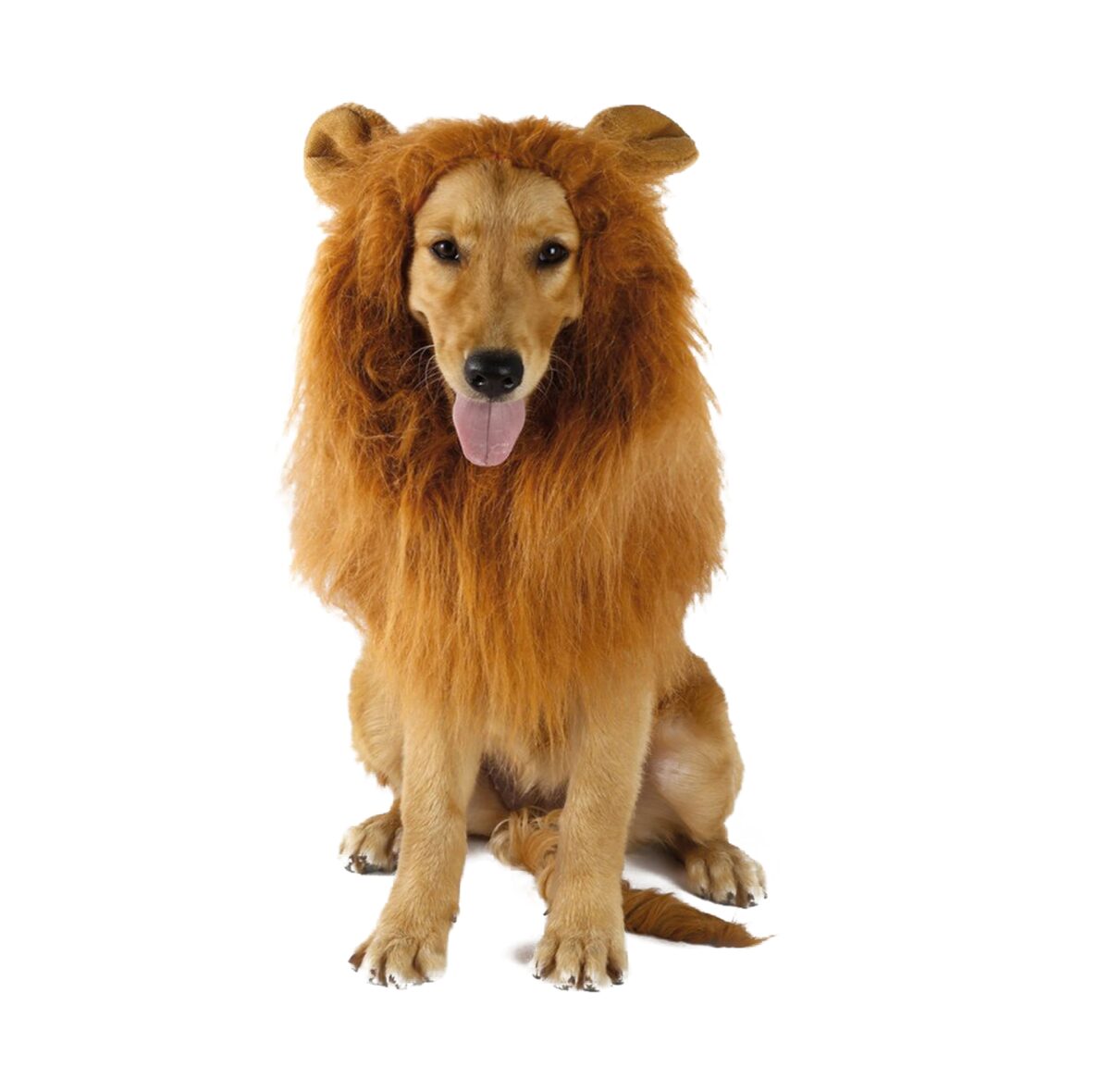 Disfraz León Mascotas