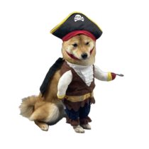 363_Disfraz Pirata perro y gato