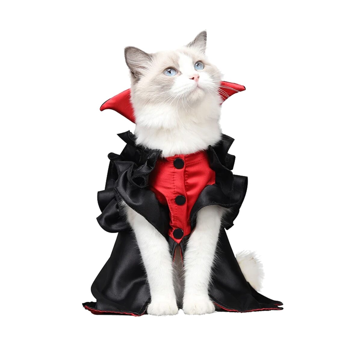 Disfraz Vampiresa Mascotas